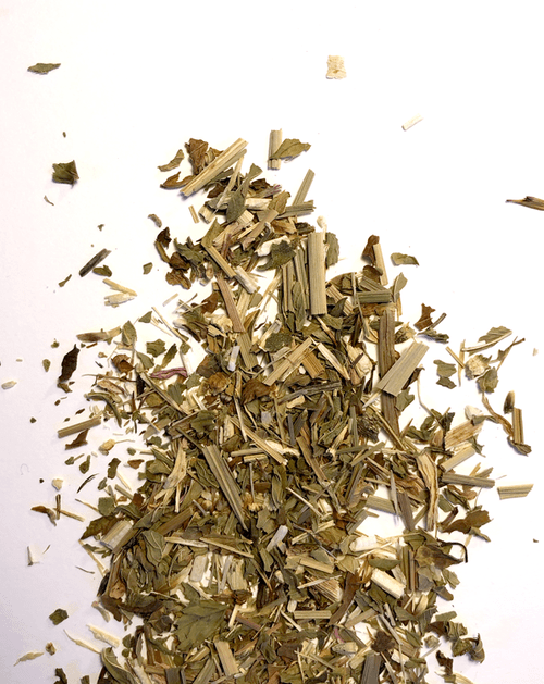 Echinacea Plus - Olive Seed Detroit