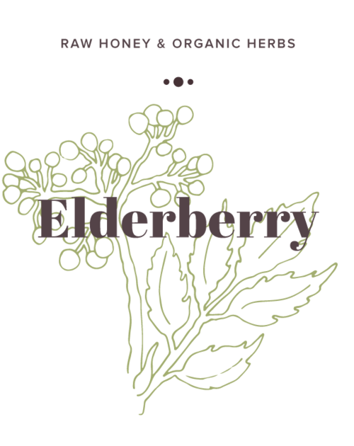 Elderberry Infused Honey label - Olive Seed