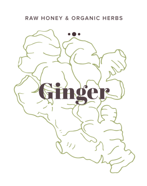 Ginger Infused Honey label - Olive Seed