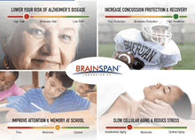 Load image into Gallery viewer, Brainspan + Consult