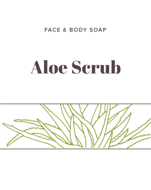 Aloe Scrub Soap - Olive Seed Detroit