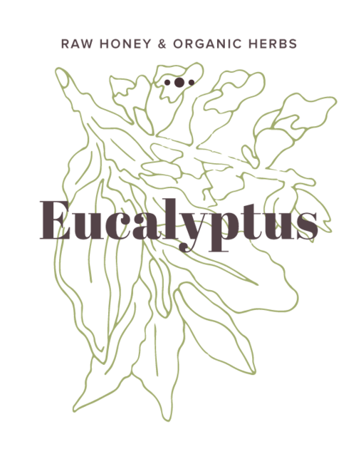 Eucalyptus Infused Honey label - Olive Seed