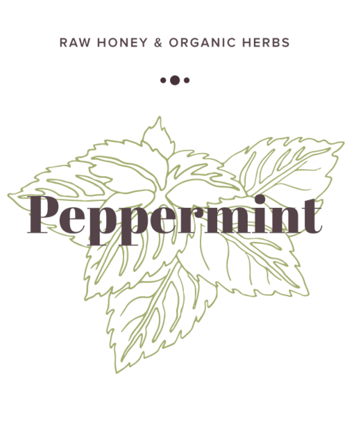 Peppermint Infused Honey label - Olive Seed