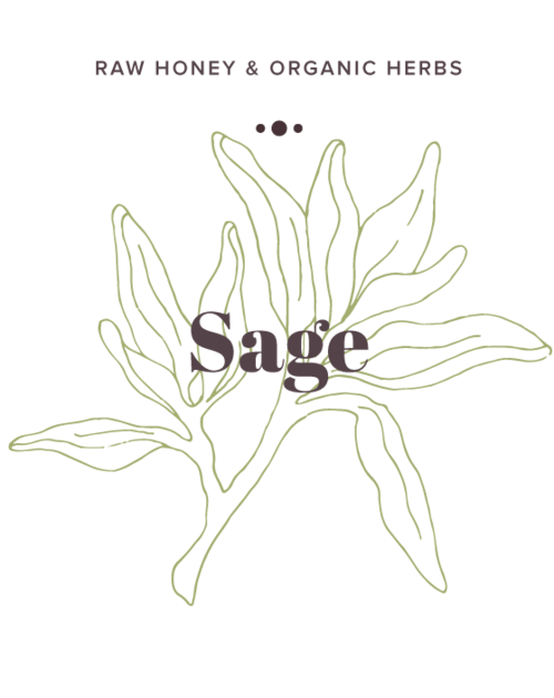 Sage Infused Honey label - Olive Seed