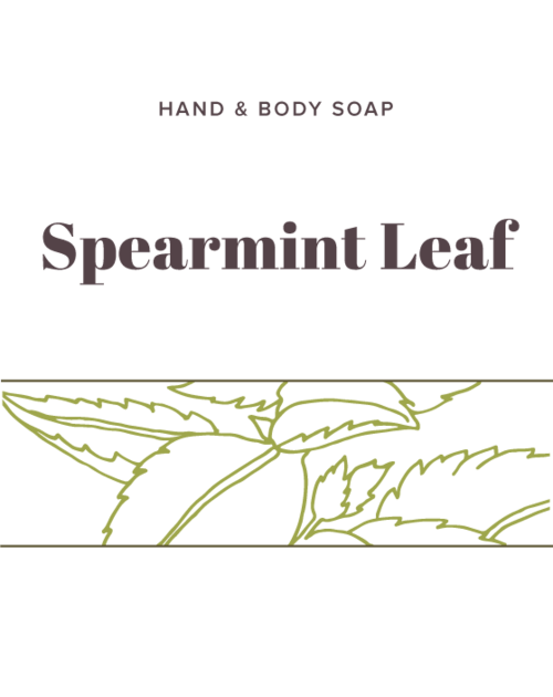 Spearmint Leaf Soap label - Olive Seed