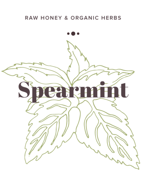 Spearmint Infused Honey label - Olive Seed