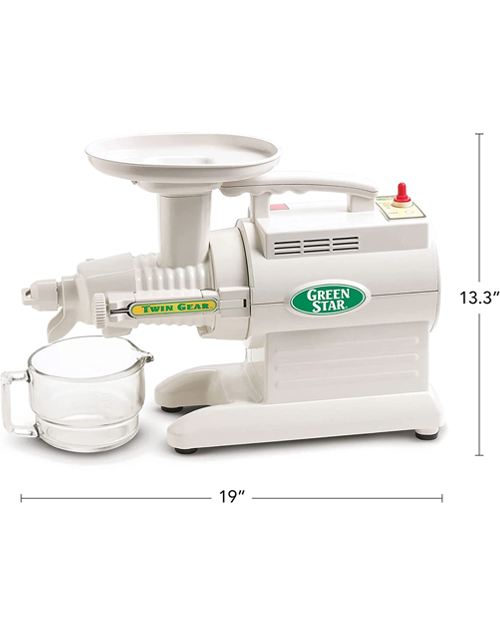 Greenstar Original Basic Twin Gear Slow Masticating Juicer